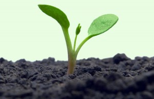 teknik_netvaerk_landscape